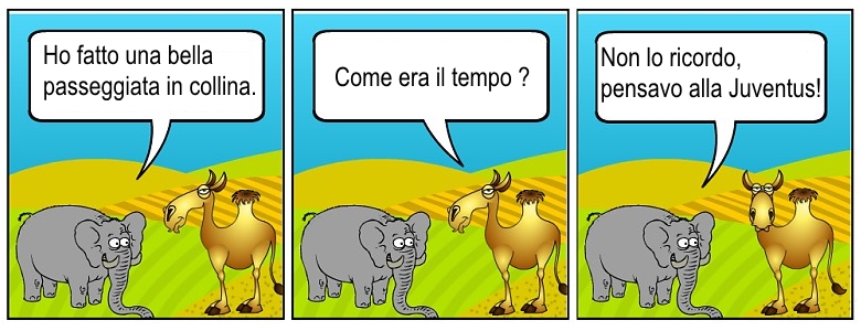 LaCalma2
