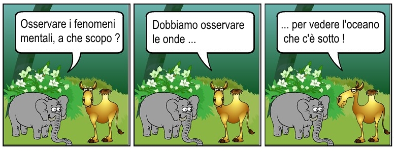 LaCalma3